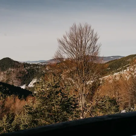 Planinska Kuca Tasic, Tara Mokra Gora