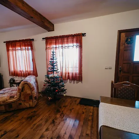 Planinska Kuca Tasic, Tara Casa vacanze *