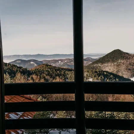 Planinska Kuca Tasic, Tara Casa vacanze Mokra Gora