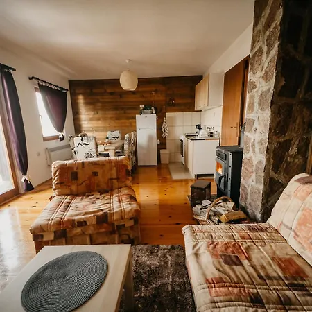 Planinska Kuca Tasic, Tara Mokra Gora